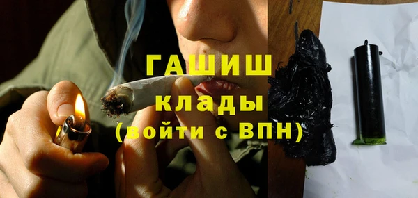 стафф Бородино