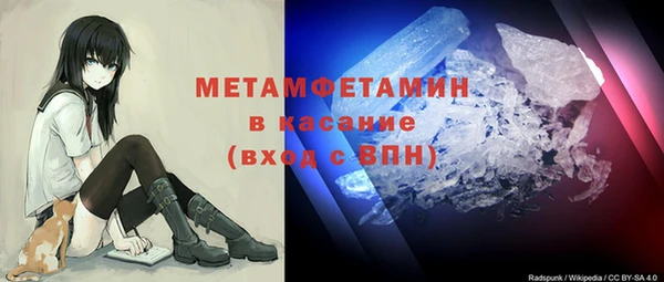 шишки Майский
