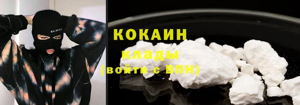шишки Майский