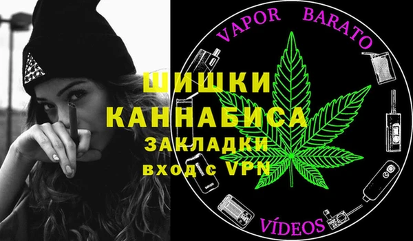 шишки Майский