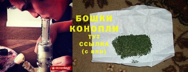 шишки Майский